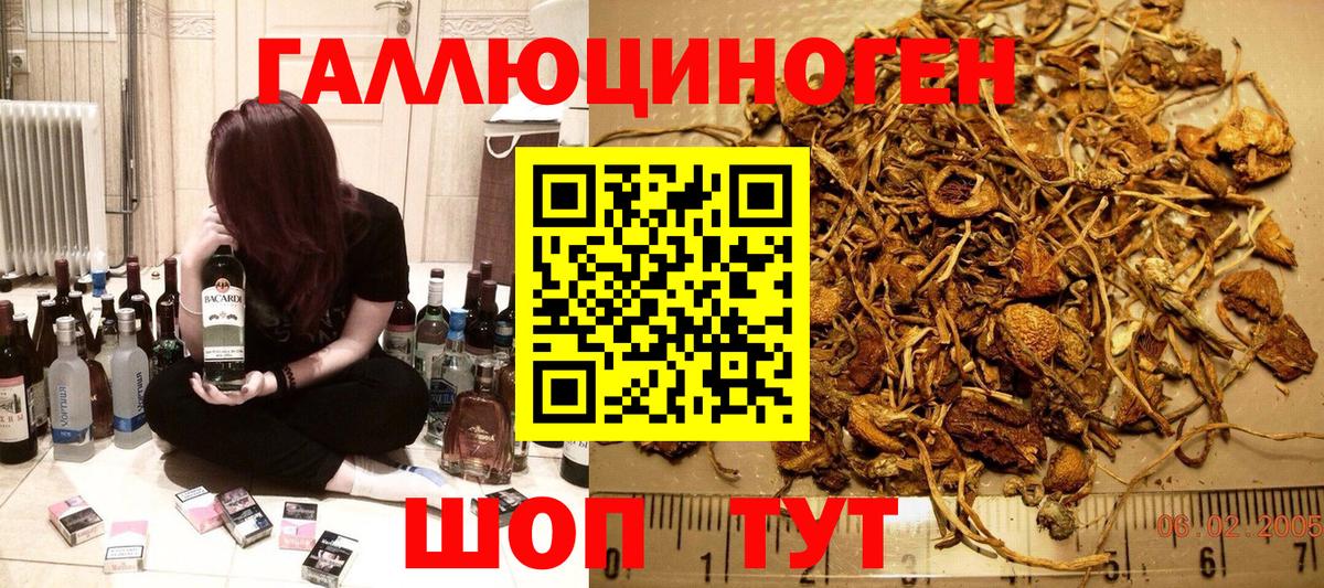 Галлюциногенные грибы мицелий Ярославль