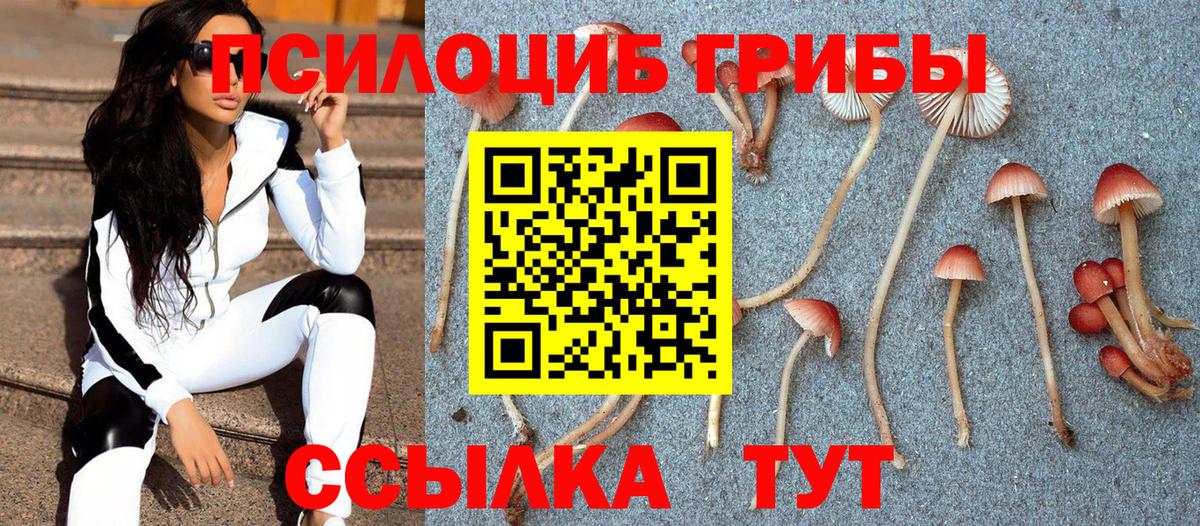 Галлюциногенные грибы прущие грибы  Вход с VPN  Ярославль 